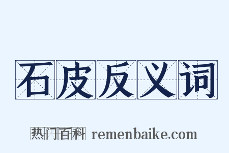 石皮反义词是什么意思的图片